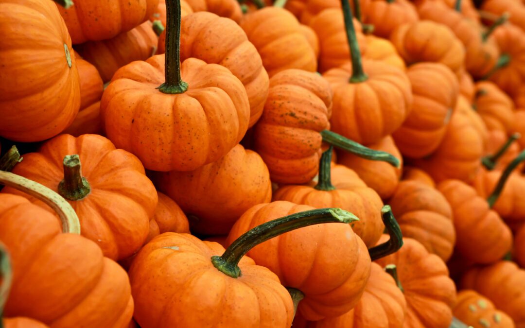 La storia di Halloween e la magia della zucca: Gusta l’autunno nella nostra Hostaria